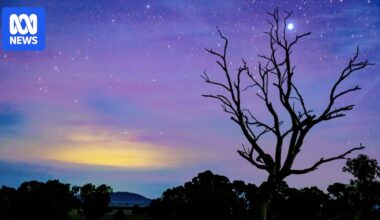 Aurora australis thrills light show chasers