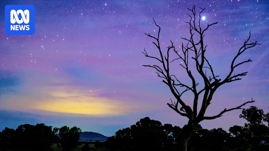 Aurora australis thrills light show chasers