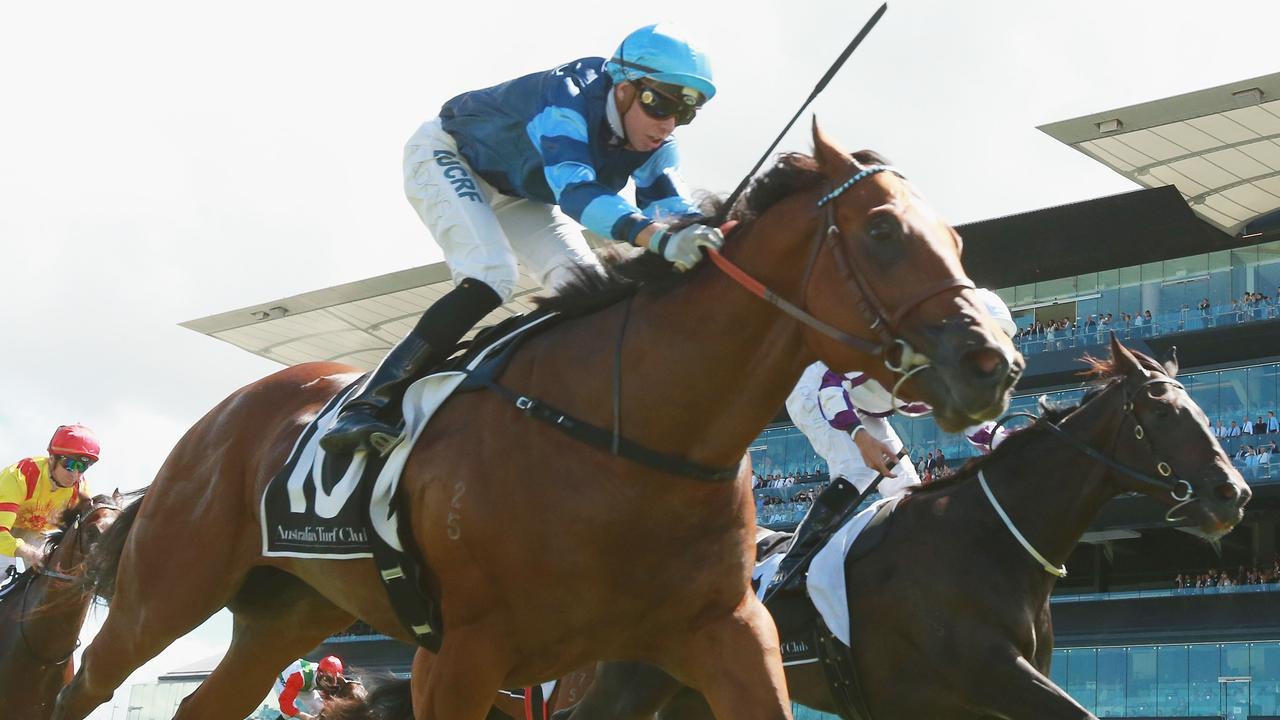 Trainer keen to solve mystery of retired stallion Aylmerton after buying son for $10,000