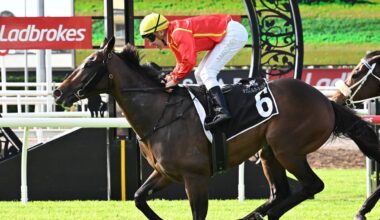 Transatlantic looks likely to miss the Group 1 Stradbroke Handicap field. Picture: Trackside Photography