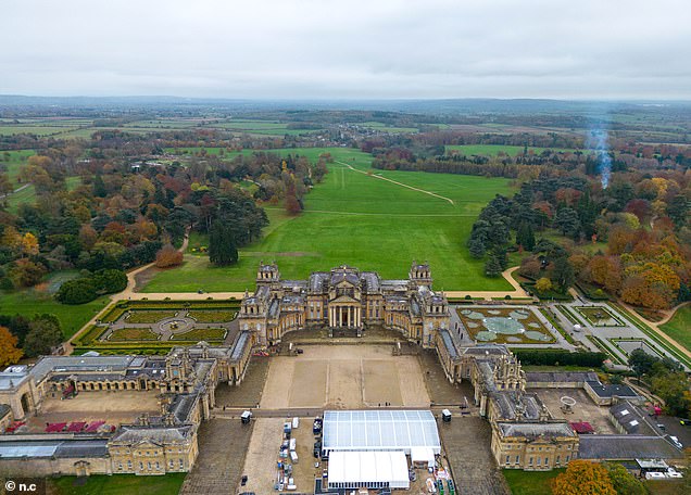The Unesco world heritage site of Blenheim Palace is set to be surrounded by Britain's largest solar panel park