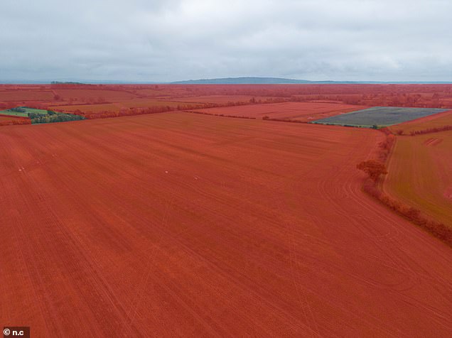 The area in red denotes where solar panels will be placed on the massive solar project
