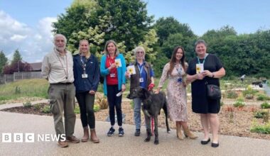 Volunteers and NHS staff at Oakwood Recovery Nature Garden.