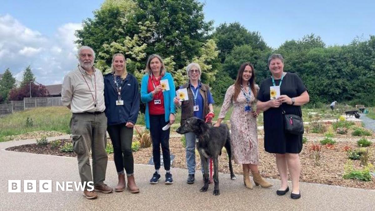 Volunteers and NHS staff at Oakwood Recovery Nature Garden.