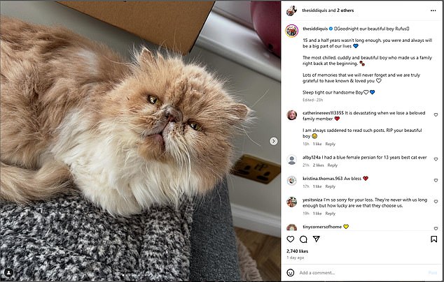 They shared an update on their family via Instagram earlier this week and revealed their pet cat Rufus had sadly passed away at 15 years old