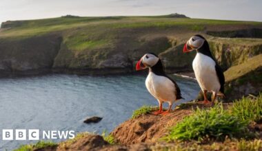 Welsh environment law aims to protect rivers and nature