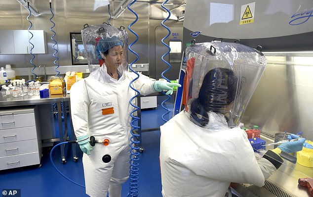 Using a combination of live virus testing, protein modeling, and AI simulations, the team mapped out how HKU5 could jump from bats to humans