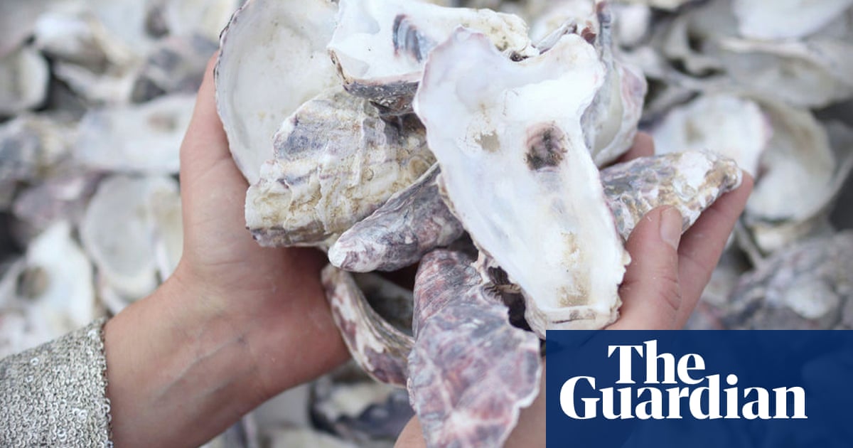 Algae bricks and oyster shell walls: what’s on the horizon for eco-friendly building in Australia? | Green building
