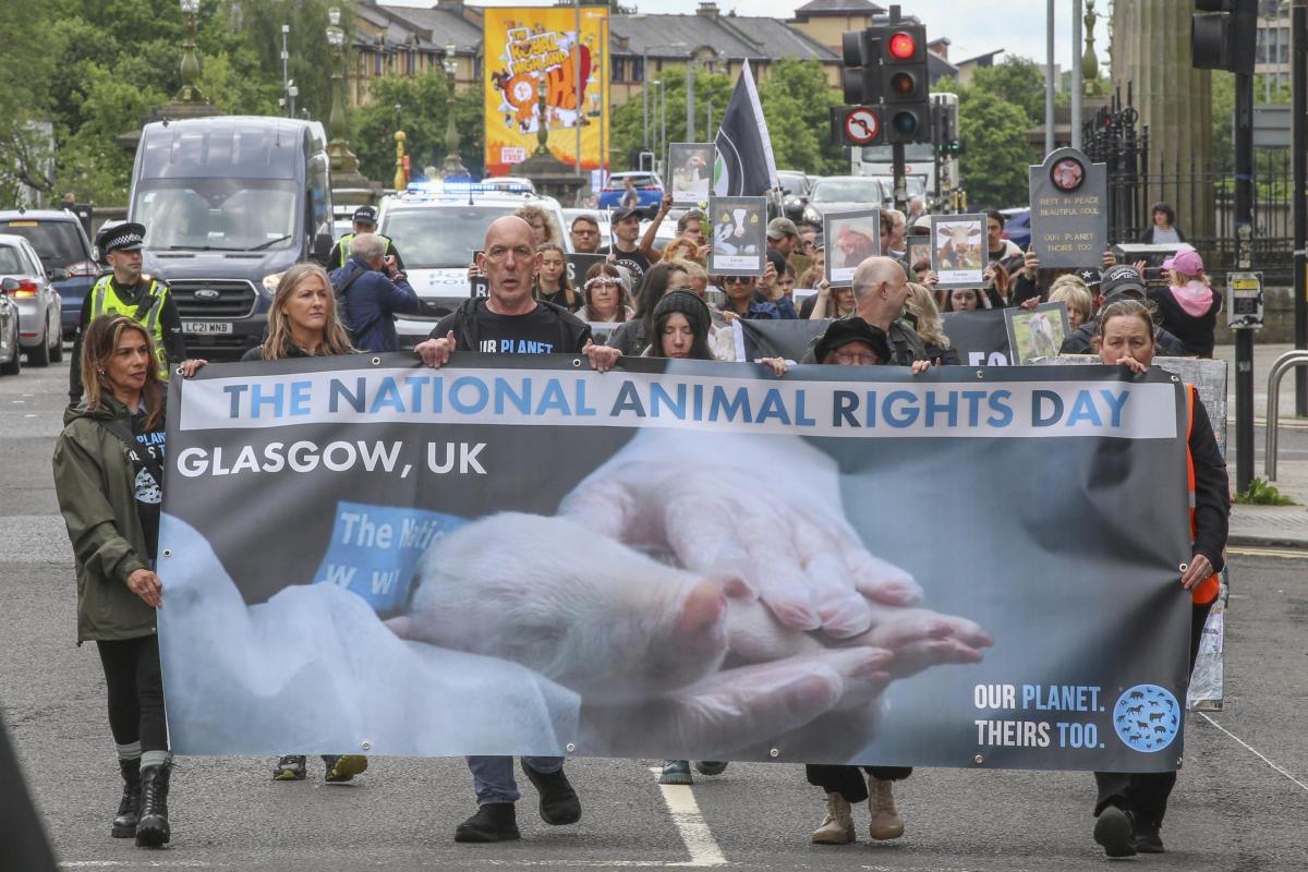 Glasgow Times
