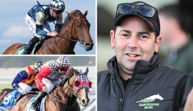 Cranbourne trainer Gavin Bedggood is mapping out a path for talented gallopers St Lawrence (top left) and Diwali (bottom left).