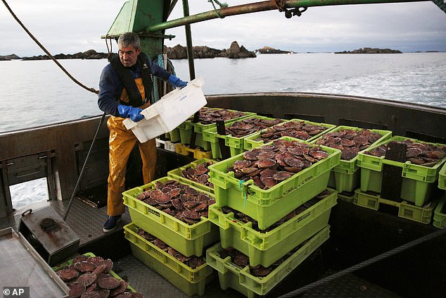 European fishing vessels will be given a further 12 years of access to British waters as part of Sir Keir Starmer's 'reset' with Brussels