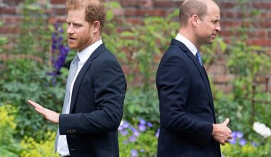 Prince Harry has made a career out of being the 'spare' to Prince William, according to a royal expert