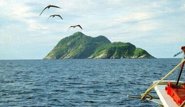 The island is believed to have become separated from the Brazilian mainland 11,000 years ago when sea levels rose