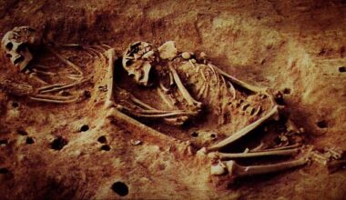 The skeletons of two hunter-gatherer individuals excavated at the Checua archaeological site (Bogotá Altiplano).