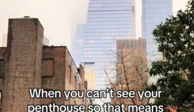 A New York City resident has shared the incredible views he experiences from his luxury penthouse apartment - which includes being able to 'touch clouds' each day