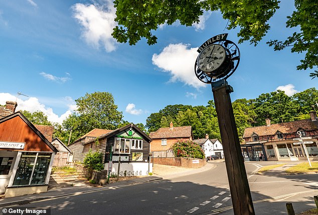 HAMPSHIRE: Burley is home to about 1,350 people and is set deep in the heart of the New Forest (file image)