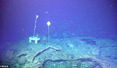 The camera focuses on an undersea hydrothermal vent field, featuring the 14-foot-tall 'Mushroom' formation, a hotspot where minerals are altered by intense volcanic heat