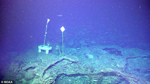 The camera focuses on an undersea hydrothermal vent field, featuring the 14-foot-tall 'Mushroom' formation, a hotspot where minerals are altered by intense volcanic heat