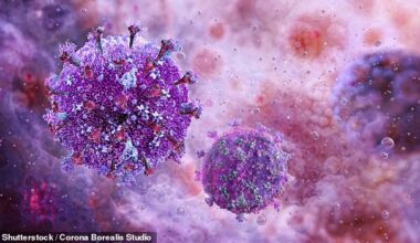 Pictured above is HIV. It is able to hide within cells, making it very hard to treat (Stock image)