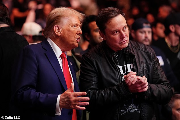 Trump pictured in November with Elon Musk, who he has been arguing with this week