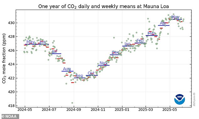 In the Northern Hemisphere, CO2 concentrations in the air are at their lowest around September before plant matter starts to gradually decompose - releasing CO2 back to the atmosphere as it hits a high in spring