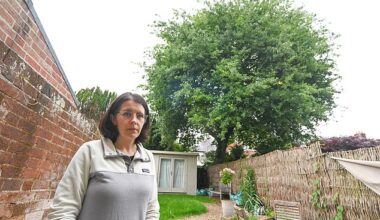 Orla Williams, 40, (pictured) and her partner moved into the terraced Grade II Listed home on Canon Street two years ago and applied to have the tree felled