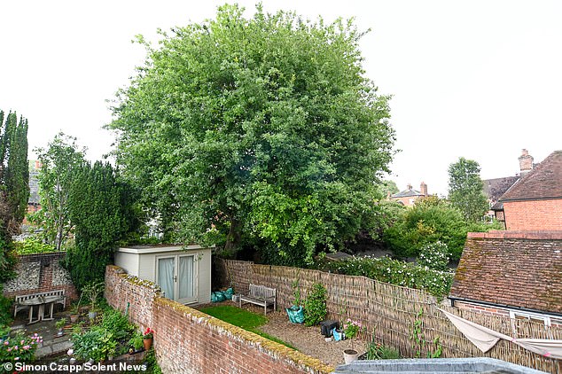 The report also stated that it is 'clearly visible' from residents living on a neighbouring private road, where it is 'appreciated'