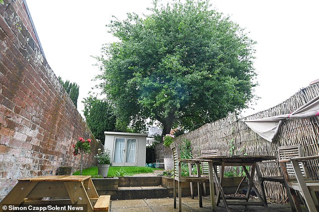 The tree continued to rapidly grow to the point that it is now 'out of proportion' to the surrounding properties and totally dominates the small garden it sits in