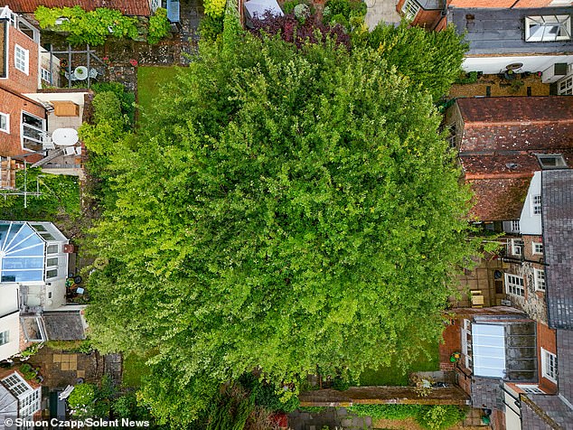 However, the Winchester County Council put a preliminary protection order on it and cited that it was 'appreciated' by the residents on a neighbouring street