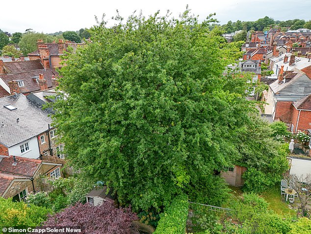 A Winchester County Council meeting will take place next week to confirm whether or not the order will remain in place