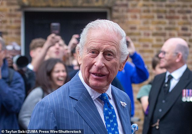 Campaigners have called on King Charles to help them stop Britain's biggest solar farm set to spread across the Blenheim Estate where Sir Winston Churchill was born