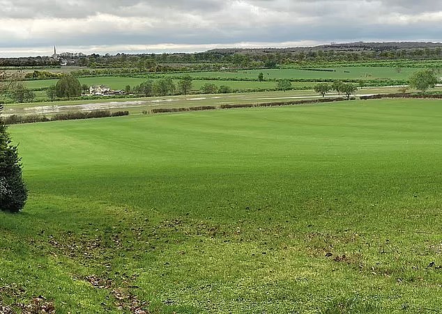 If the Blenheim Palace plan goes ahead, protesters said children being born now will be middle-aged before they see the green fields surrounding their homes
