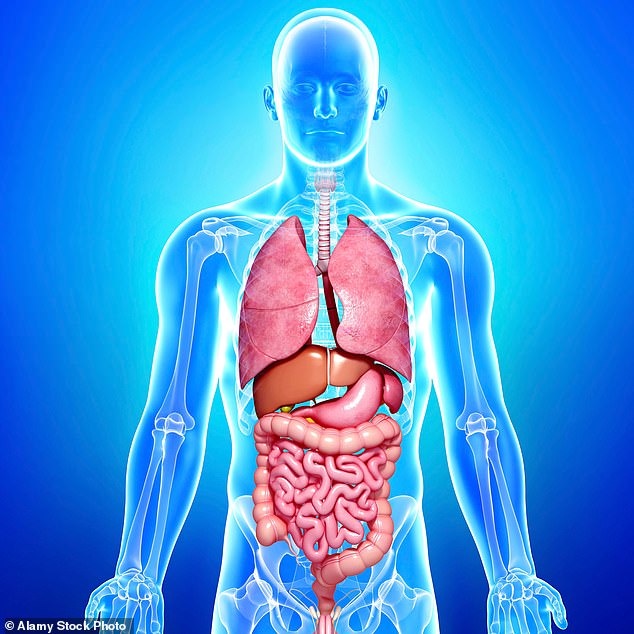 NHS England has paused a ground-breaking AI project designed to predict an individual's risk of health conditions after concerns were raised data from 57 million people was being used without the right permissions