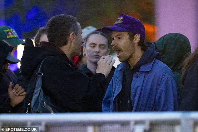 Harry Styles continued his hiatus from music as he enjoyed a music festival in London's Victoria Park with pals