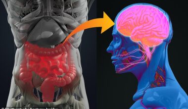 Research has long suggested that activity in the gut can impact the brain. Researchers have now found people with Parkinson's have more harmful bacteria in the gut which could contribute to cognitive decline