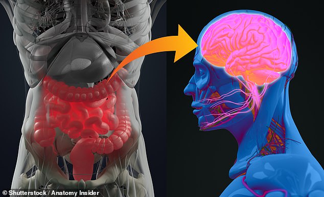 Research has long suggested that activity in the gut can impact the brain. Researchers have now found people with Parkinson's have more harmful bacteria in the gut which could contribute to cognitive decline