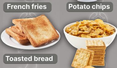 The above graphic shows the foods listed by the American Cancer Society that could contain acrylamide