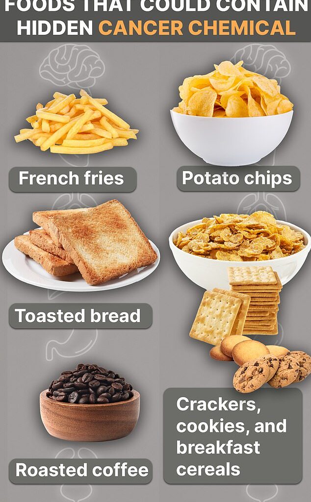 The above graphic shows the foods listed by the American Cancer Society that could contain acrylamide