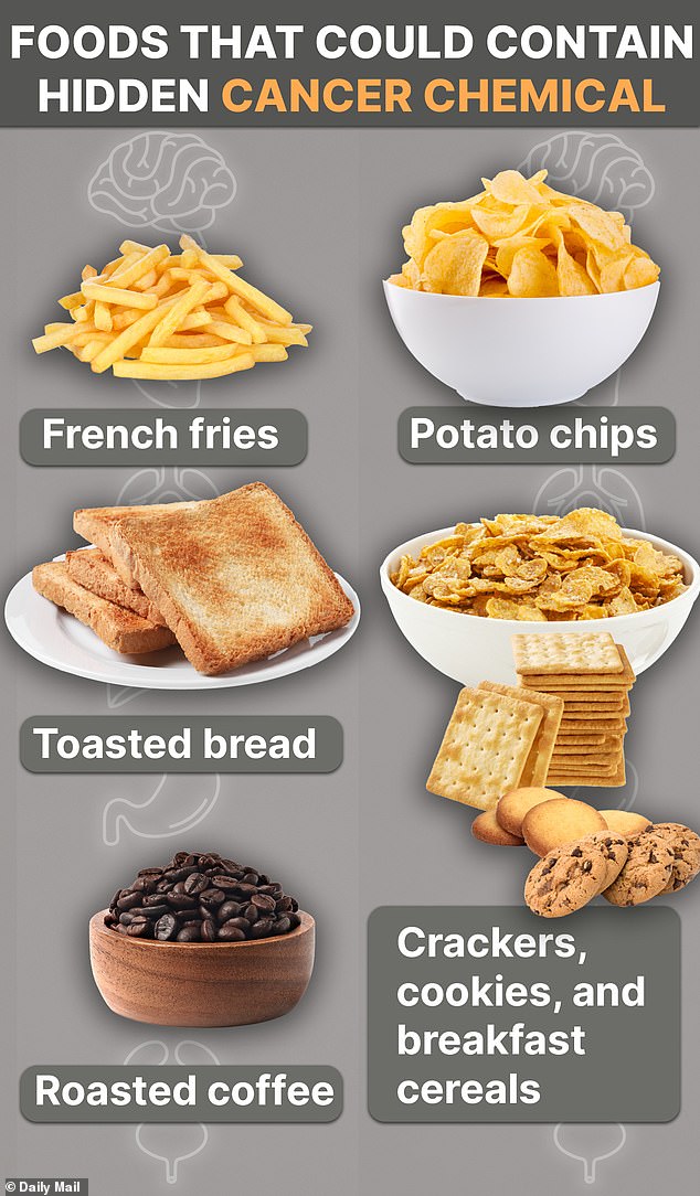 The above graphic shows the foods listed by the American Cancer Society that could contain acrylamide