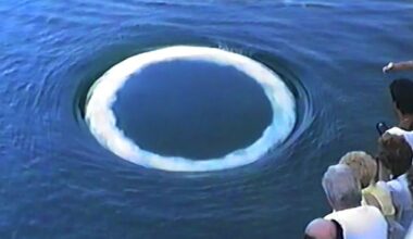 Researchers from the SETI Institute and the University of California-Davis revealed that large 'smoke ring-like' bubbles coming from underwater were created by humpback whales, not aliens