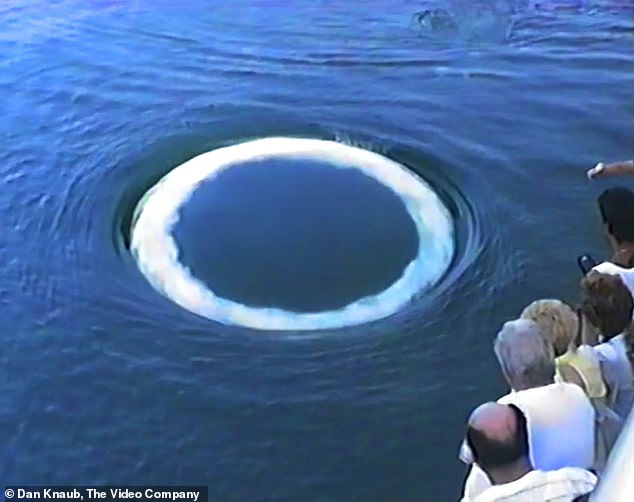Researchers from the SETI Institute and the University of California-Davis revealed that large 'smoke ring-like' bubbles coming from underwater were created by humpback whales, not aliens