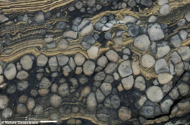 Jadarite has so far only been been found in one place on Earth - Serbia's Jadar Basin. Pictured, shale containing white nodular jadarite interbedded with laminated dolomite (a carbonate rock)