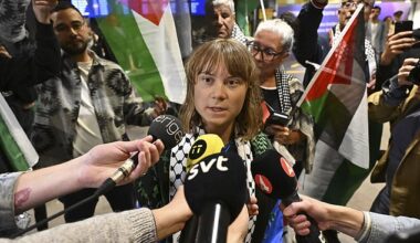 Scientists have uncovered a common genetic fault linked to autism—raising hopes for a new generation of targeted treatments. Pictured, activist Greta Thunberg, who has the condition