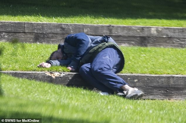 Others, who had already taken their fix, slumped over in the sunshine and lay on the grass, semi-comatose