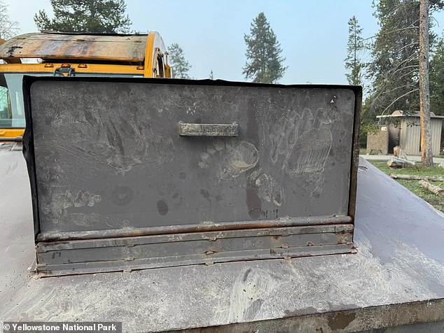Visitors should use their bear-resistant storage lockers, food storage devices, garbage cans and dumpsters throughout the park