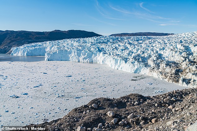 Experts warn the Greenland Ice Sheet (pictured) is cracking open faster than ever, with the number of deep crevasses increasing at an alarming rate