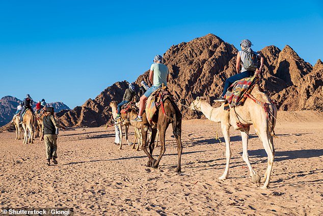 Pictured: South Sinai (Sharm El-Sheikh), Egypt