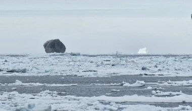 While its size was impressive there was one other thing that particularly made this iceberg stand out – the fact that it was completely black