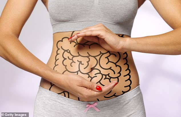 The sex hormones oestrogen and testosterone – which women and men have in different concentrations – affect the bacteria in our gut. This, in turn, influences the metabolism of those sex hormones