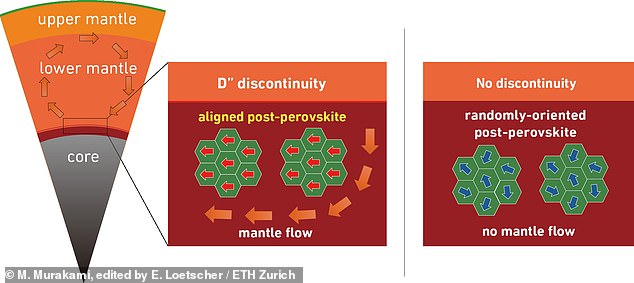 Post-perovskite becomes very hard when all its crystals align, which is what would happen if the rock were flowing. Since seismic waves move faster through harder materials, this explains why earthquake waves get faster in this area